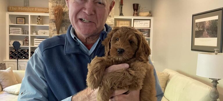 Sadie and Watson’s puppies are home