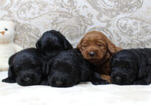 Our reservation list for 2026 is growing! It's not too early to apply