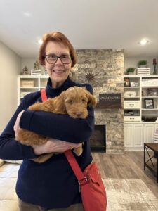 best Oregon labradoodle breeder mini red