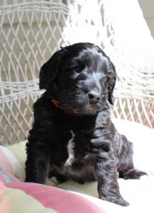 Five weeks Kim outside