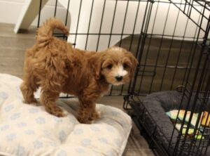 Eight weeks Kaitlyn 2