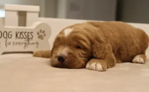 It's not too early to get on our reservation list