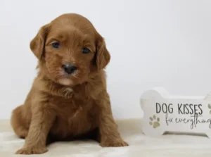 Four weeks Madeline Four weeks Madeline