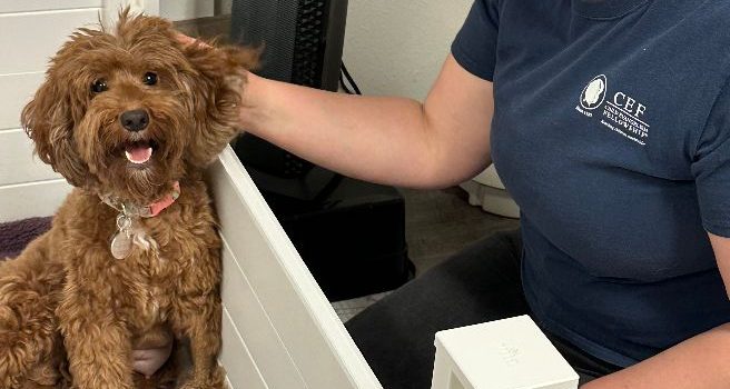 Mabel and Nelson’s puppies are here! Week one mama