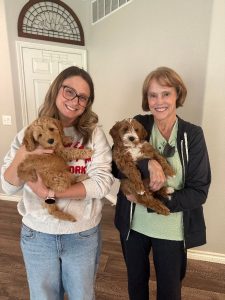 Ava and Watson's puppies are home