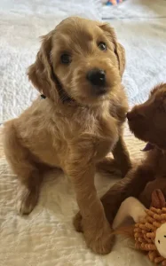 Our reservation list is growing! It's not too early to apply