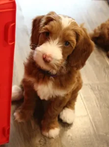Seven weeks play room Tessa 2