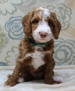 Six weeks Tylor 2
