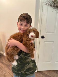 Tessa and her boy Tilly and Tucker's puppies are home!