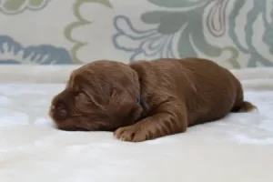 One week Asher One week Asher